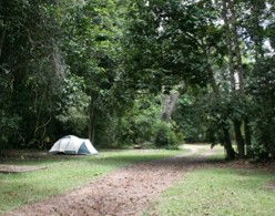 Kingfisher Park Birdwatchers Lodge - eAccommodation 5