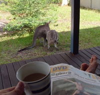 Bush and Bay Cottage - eAccommodation
