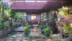 Blossoms Bed And Breakfast - eAccommodation 0