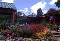 Blossoms Bed And Breakfast - eAccommodation 2