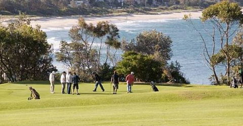 Bushview Cottage - eAccommodation 0