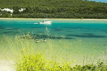 Wooli Camping and Caravan Park - eAccommodation