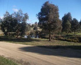 Tombong NSW eAccommodation