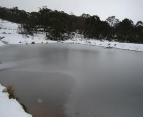 Old Minton Farmstay - eAccommodation 1