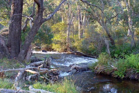 Paddys River Cottage - eAccommodation 2