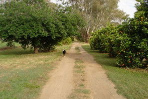 Murray Bank Holiday Units And Yabby Farm - eAccommodation 5
