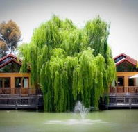 Perricoota Vines Retreat - eAccommodation