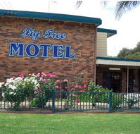 Fig Tree Motel - eAccommodation