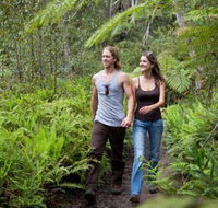 Blackheath Glen Tourist Park - eAccommodation