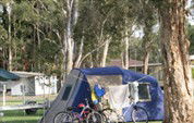 BIG4 Lake Macquarie - Monterey Tourist Park - eAccommodation 5