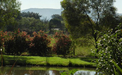 Amazing Country Escapes - Evanslea By The River - eAccommodation 4