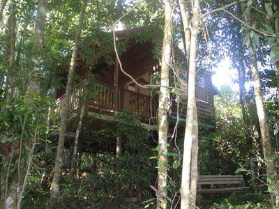 Adjinbilly Rainforest Retreat Cabins - eAccommodation 0
