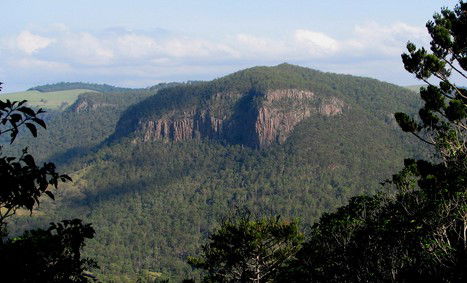 Arborlee Rainforest Retreat - eAccommodation 3