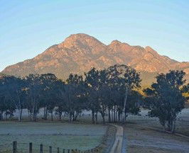 Barney Creek Vineyard Cottages - eAccommodation 5