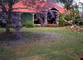 Minmore Farmstay Bed And Breakfast - eAccommodation 0