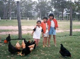 Minmore Farmstay Bed And Breakfast - eAccommodation 1