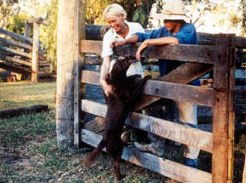 Minmore Farmstay Bed And Breakfast - eAccommodation 2