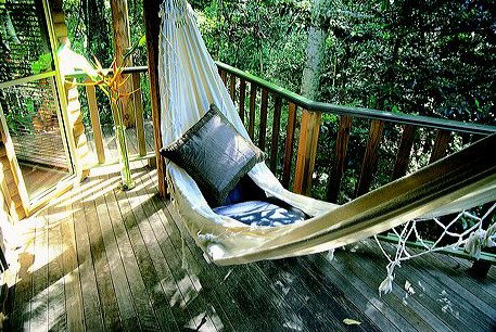 Narrows Escape Rainforest Retreat - eAccommodation 0