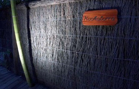 Narrows Escape Rainforest Retreat - eAccommodation 1