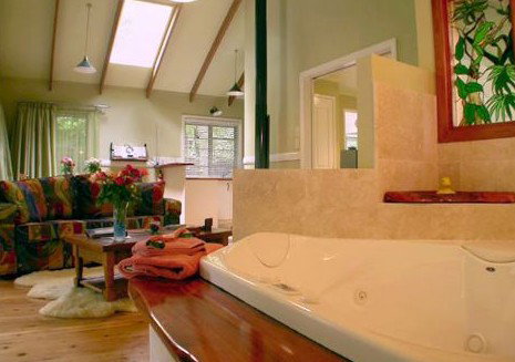 Narrows Escape Rainforest Retreat - eAccommodation 2