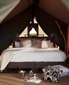 Sal Salis Ningaloo Reef - eAccommodation 0