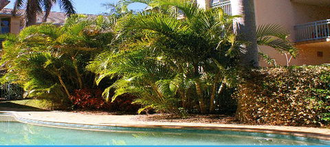 Golden Sea Apartments - eAccommodation 4