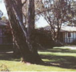 Winbi River Resort - eAccommodation