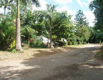 Cape Hillsborough Nature Resort - eAccommodation 4