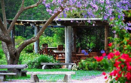 Bago Vineyards - eAccommodation 1