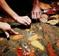 Daintree Eco Lodge And Spa - eAccommodation