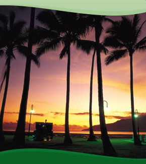 Bay Village Tropical Retreat, Cairns - eAccommodation 1