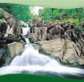 Bay Village Tropical Retreat, Cairns - eAccommodation 2