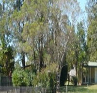Nimbin Backpackers at Grannys Farm - eAccommodation