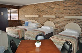 Castle Motor Lodge - eAccommodation 3