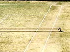 Kingston Apartments - eAccommodation 1