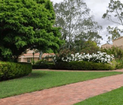 Barossa Weintal Hotel Motel - eAccommodation 2