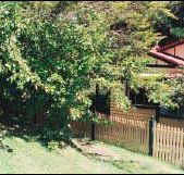 Apple Tree Cottage - eAccommodation