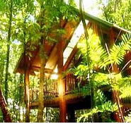 The Canopy Treehouses - eAccommodation