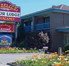 Strzelecki Motor Lodge - eAccommodation