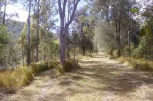 Toms Creek Retreat - eAccommodation 1