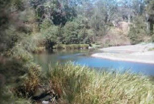 Toms Creek Retreat - eAccommodation 4