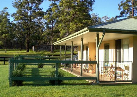 Neds Bed Horse O Tel - eAccommodation 1