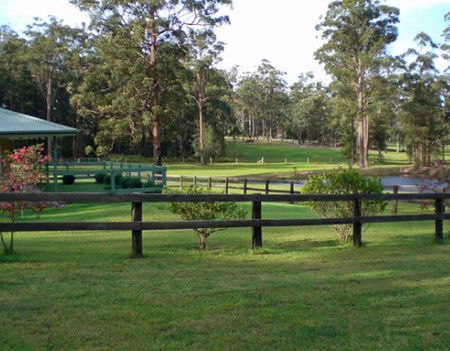 Neds Bed Horse O Tel - eAccommodation 2