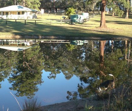 Neds Bed Horse O Tel - eAccommodation 4