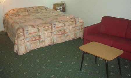 Bandicoot Motor Inn - eAccommodation 1