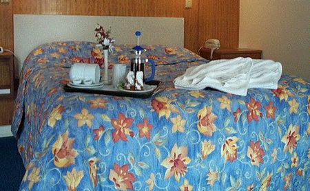 Bandicoot Motor Inn - eAccommodation 2