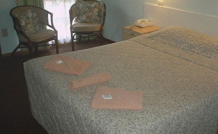 Bandicoot Motor Inn - eAccommodation 4