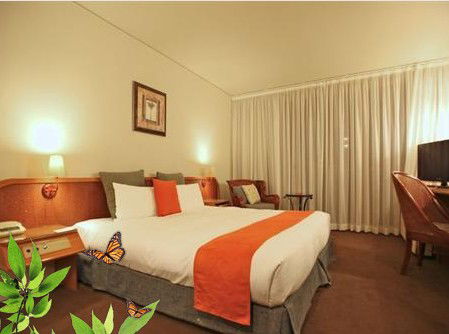 Absolute Beachfront Novotel Pacific Bay - eAccommodation 1