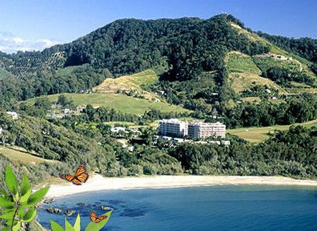 Absolute Beachfront Novotel Pacific Bay - eAccommodation 3