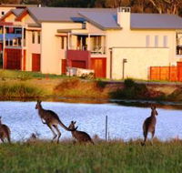 Grand Mercure The Vintage Hunter Valley - eAccommodation